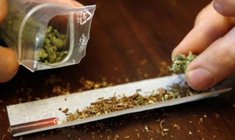 Cannabis cultivat în Mureş, vândut la Oradea 